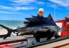 Jean Napier Hattingh on Against the Tide, spearfishing and life beneath the surface