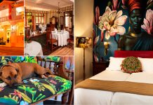 The art of the Karoo