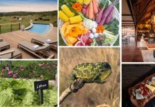 Farm to table safari