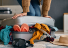 7 steps to help you pack your travel bags like a pro
