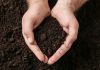 Let’s talk dirty: Unlock the potential of your soil