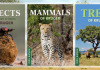 Make the most of your safari