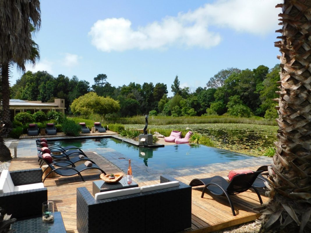 Down by the LILY POND: An Afro-Zen hideaway in the Crags - Get it ...