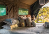 Kruger Untamed’s newest seasonal wilderness camp is a must!