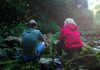 Raising boys in a noisy world