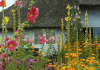 Gardening for the wild at heart