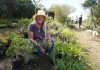 Rewilding Your Garden
