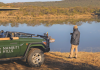 Slow safari living
