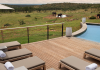 Farm to table safari