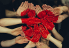 Five ways to support a cause and give back