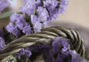 Forever flowers
