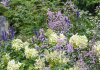 Love gardening? Fanatical about flowers? This show is for you