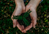 7 tips to make your next event more environmentally friendly