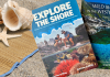 Beach bag books
